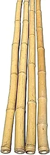 Egardenkart® Natural Bamboo Pole/Stake