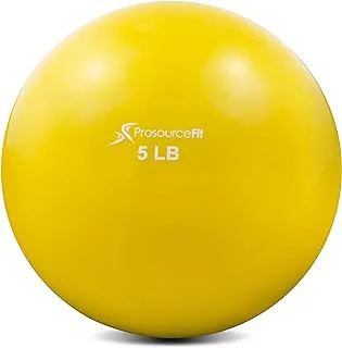 ProsourceFit Weighted Toning Exercise Balls for Pilates