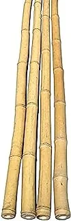 Egardenkart® Natural Bamboo Pole/Stake