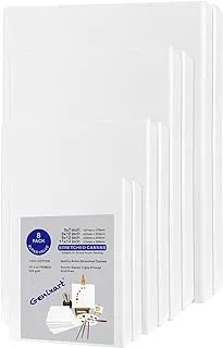 Genixart White Blank Stretched Canvas, Multi Pack of 8, 2 of Each Assorted Sizes, Primed Professional Artist Canvases for Acrylics & Oils Painting