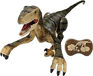 Lexibook Lexibook, RC Raptor Control, Realistic remote controlled dinosaur, Articulated movements, Roars, Light effects, Rechargeable, Fossil control included, Green DINO01