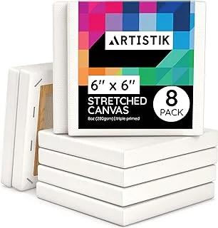 Stretched Canvas - Premium Artist 100% Cotton Acid-Free Triple Primed Gesso Canvases Art Paint Supply (Pack of 8-6