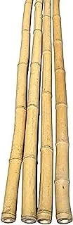 Egardenkart® Natural Bamboo Pole/Stake