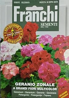 Franchi Sementi Multicolor Geranium Seeds