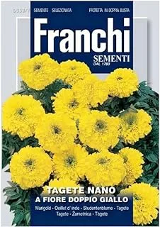 Franchi Sementi Premium Quality Yellow Marigold Seeds