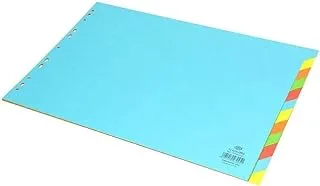 FIS FSDVA312C 160 Gsm 12 Colors A3 Plian Card Divider, Blue