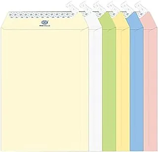 FIS FSEE1033PB625 100GSM Peel and Seal Executive Laid Paper Envelopes 25-Pieces, 10-Inch x 7-Inch Size, Assorted