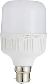 Olsenmark 13W Energy Saving LED Bulb, White