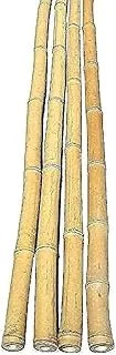 Egardenkart® Natural Bamboo Pole/Stake