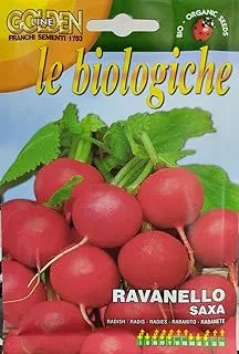 Franchi Sementi 112/1 Golden Bio-Organic Radish Saxa 2 Seeds, Radish Seeds, Multicolor