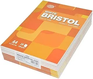 FIS FSPDA4240-20 240gsm 20 Sheets Bristol Pads 10-Pieces, A4 Size, White