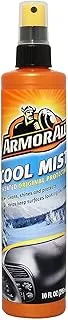 AA Protectant Gloss Finish Cool Mist 10oz (12)