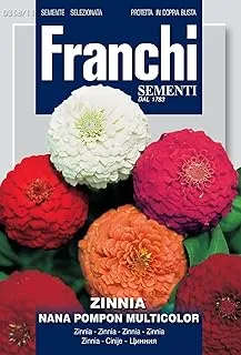 Franchi Sementi Multicolor Nana Pompon Seeds