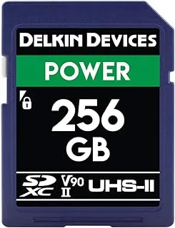 Delkin Devices 256GB POWER SDXC UHS-II (V90) Memory Card (DDSDG2000256)