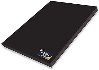 FIS FSBI240BK 240GSM Bristol Board 100-Pieces, 70 cm x 100 cm Size, Black