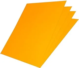 100-Sheets FIS A4 Color Label Fluorescent Orange - FSLA1-100FOR