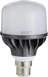 Olsenmark 13W Energy Saving LED Bulb, White/Grey