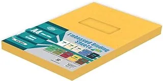 FIS Embossed Binding Sheet with Window 230 gsm Pocket of 50 pieces - FSBDE230WA4GYL