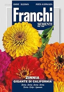 Franchi Zinnia Giant California