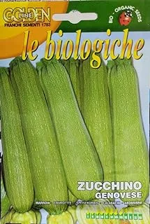 Franchi Sementi Golden Bio-Organic Courgette Genovese Seeds