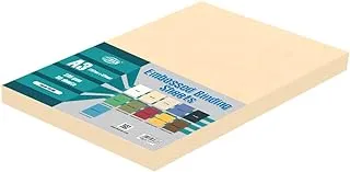 FIS FSBDE230A3CR 230 gsm Embossed Binding Sheet 50-Pieces