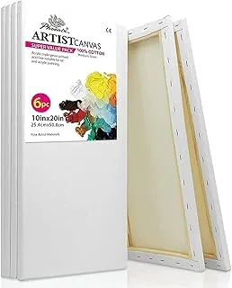 White Blank Cotton Stretched Canvas Artist Painting10X20 Inch / 6 Pack5/8 Inch Profile Triple Primed For Oil & Acrylic Paints