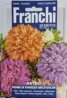 Franchi Sementi Premium Quality Multicolor Aster Seeds