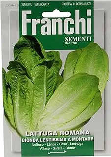 Franchi Lettuce Romaine Montare