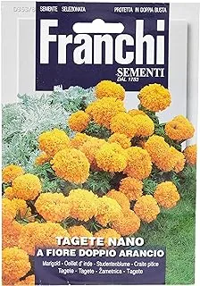 Franchi Sementi Premium Quality Orange Marigold Seeds