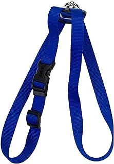 Coastal 1 Inch Size Right Harness, Large - Blue