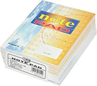 FIS Note Pad 13.5 X 17.5cm, 50-Sheets 12-Piece - FSPDA2150S