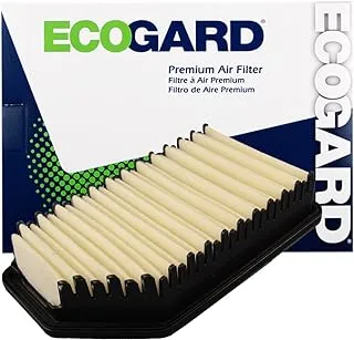 ECOGARD XA6200 Premium Engine Air Filter Fits Kia Soul 1.6L 2012-2019, Soul 2.0L 2012-2019, Rio 1.6L 2012-2017 | Hyundai Accent 1.6L 2012-2017, Veloster 1.6L 2012-2017