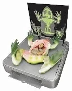 IPI Stimulated Frog Dissecting Kit