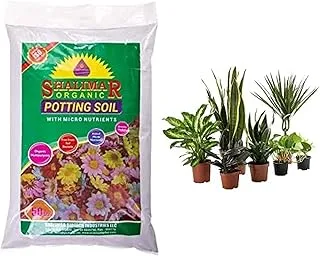 Shalimar Organic Potting Soil