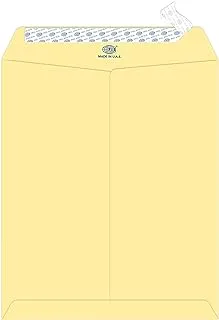 FIS FSEE1034PCRB25 100GSM Peel and Seal Executive Laid Paper Envelopes 25-Pieces, 12-Inch x 10-Inch Size, Cream