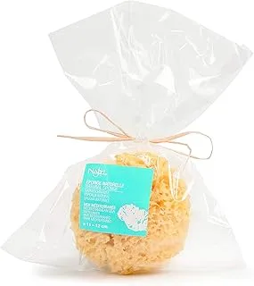 Najel Organic Skincare - Natural Sponge 9-10 cm