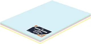 FIS Bristol Board, 50x70cm,240GSM, Multicolor 100-Piece - FSBI2405070AST