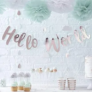 Ginger Ray Rose Gold Hello World Scripted Baby Shower Unisex Bunting Banner