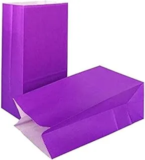 Purple Classic Party Favor Bags Pack of 10