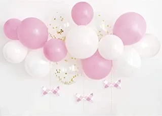 Unique Party 74919 Pink 1St Birthday Gingham Balloon Arch Kit 1 Pack