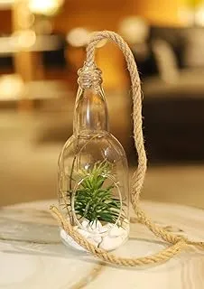 YATAI Hanging Planters Glass Terrarium Globes Ball Vase Succulents Moss Miniature Garden Planters Home Decor Indoor Garden DIY Gifts