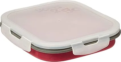 Good2Go 1 Litre Medium Silicone/Polypropelene Rectangular Lunch Boxes, Cranberry Red