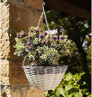 Dubai Garden Centre Bianco Girgio Basket