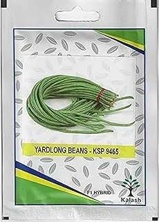 Kalash Yardlong Beans KSP 9465 F1 Hybrid Premium Quality Seeds (Made in India) by Kalash Seeds Pvt. Ltd.