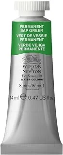 Winsor & Newton Professional Water Colour Paint, 14ml Tube, Permanent Sap Green