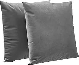 Amazon Basics 2-Pack Velvet Fleece Decorative Throw Pillows - 18