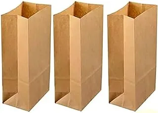 PARTY TIME - 24 Pieces Lunch Bags Small Kraft Bags Paper Brown Sack for Food Package