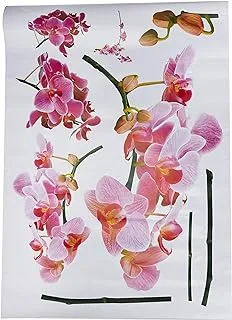 StickieArt Orchids Wall Stickers, Home Decoration DIY Removable Wall Decals for Living Room Bedroom, Medium, 50 x 70 cm, STA-139