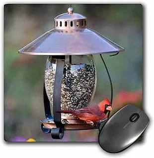 North Cardinal On Copper Lantern Hopper Bird Feeder ، Marion Co. Il - MoUSe Pad ، 8 في 8 بوصات (Mp_208643_1)