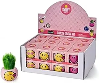 Smiley Face Grass Grow Kit